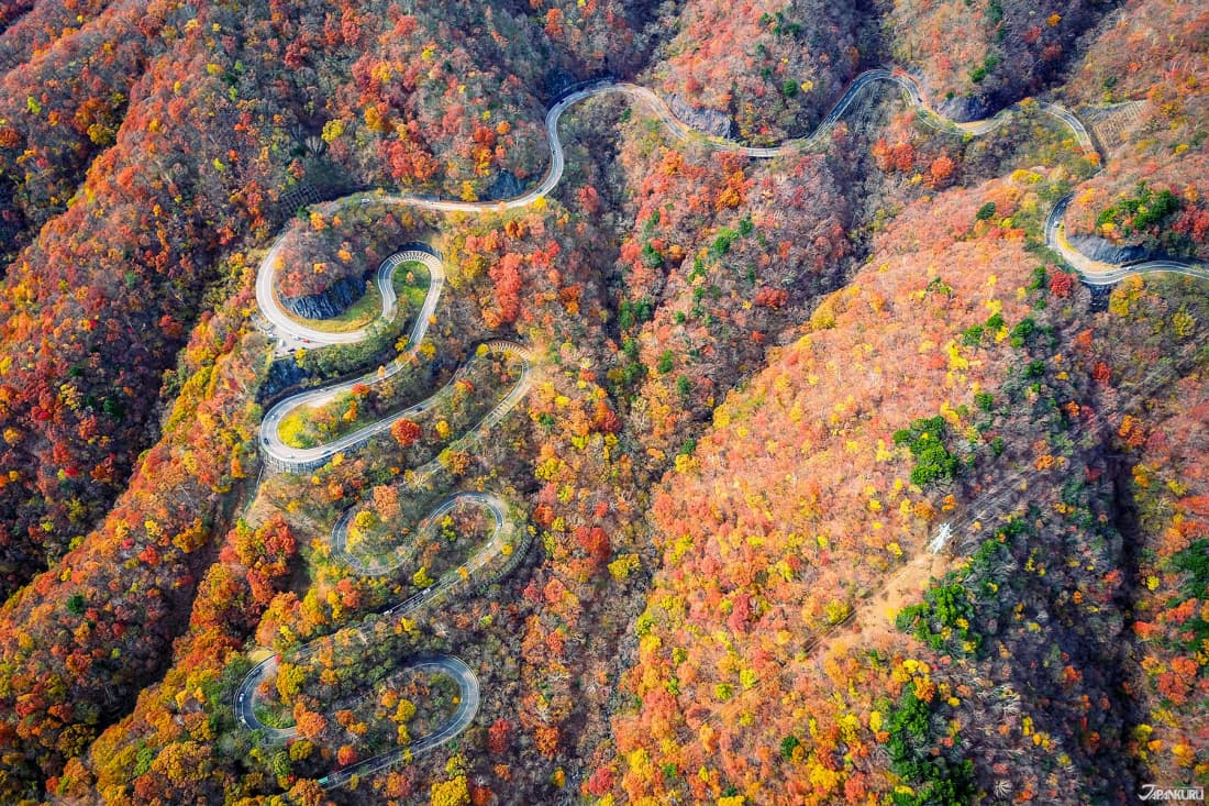 Kanto · Autumn Foliage Chase