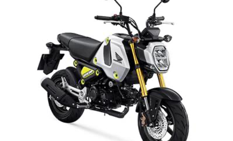 GROM (2020/2021)