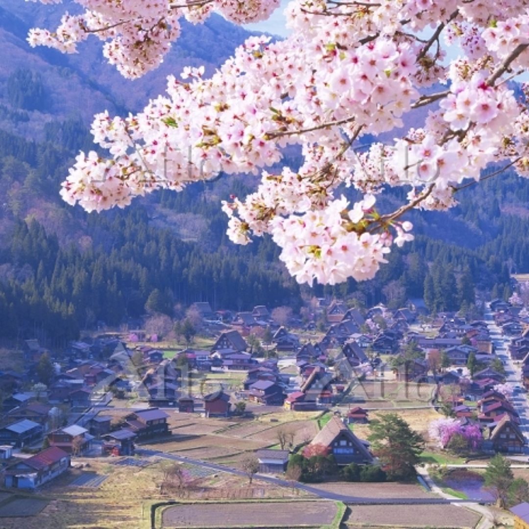 想親身體驗 日本電單車自駕之旅嗎？